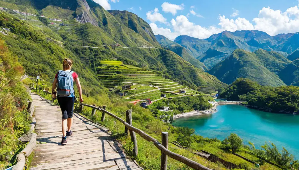 Экскурсии для сов: новый подход к туризму от Executive Tours