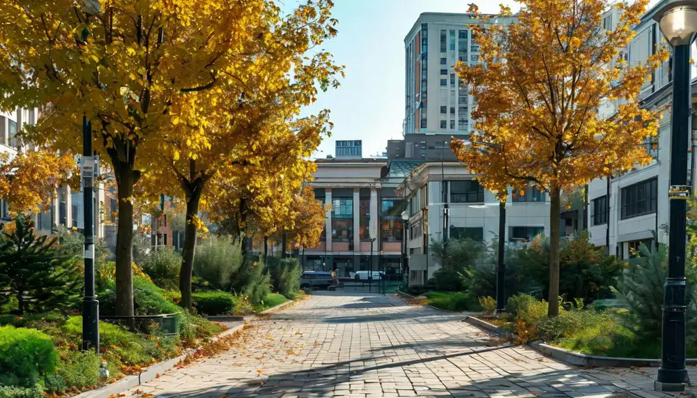 Страховая компания: регистрация и маркетинг