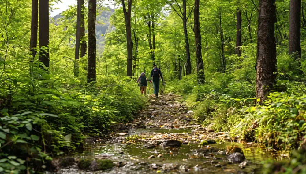 Портативная зарядная печь Tengu